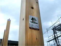 『三重の木　桧　4寸』